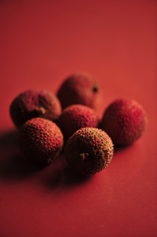 Kimura Bungo - food photography